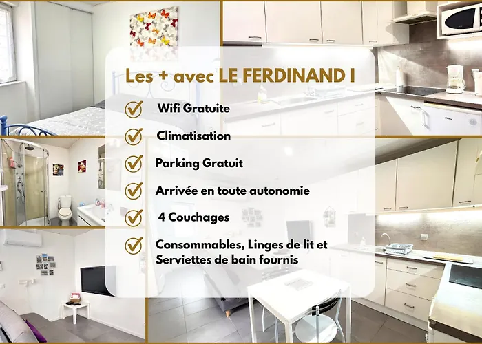 Apartament Le Ferdinand I - Cosy & *
